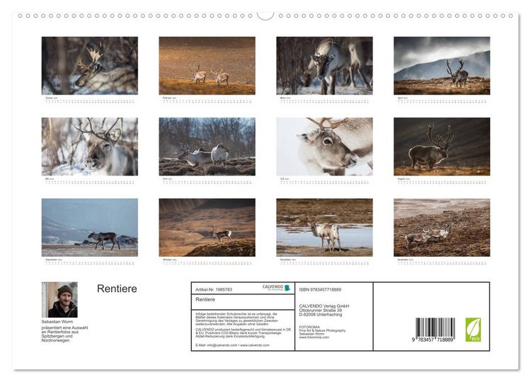 Produktbild: Rentiere (hochwertiger Premium Wandkalender 2026 DIN A2 quer), Kunstdruck in Hochglanz