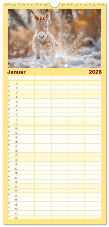 Produktbild: Familienplaner 2026 - Lustige Eselgeschichten mit 5 Spalten (Wandkalender, 21 x 45 cm) CALVENDO