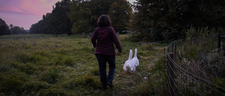 Produktbild: The End of Meat - Eine Welt ohne Fleisch + Bonus: Kurzdoku 'A Future Imperative' (ca. 30 Min; deutsche und englische Untertitel)