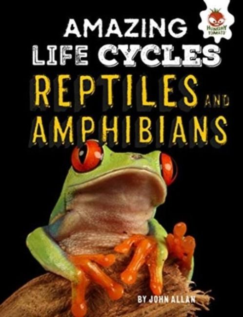 Produktbild: Reptiles and Amphibians - Amazing Life Cycles
