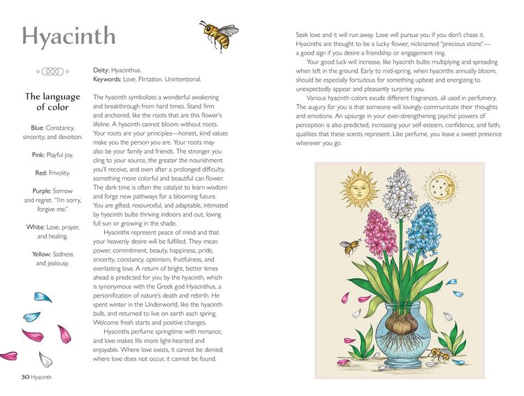 Produktbild: The Spirit of Flowers