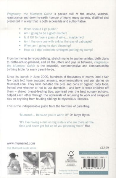 Produktbild: Mumsnet: Pregnancy: The Mumsnet Guide