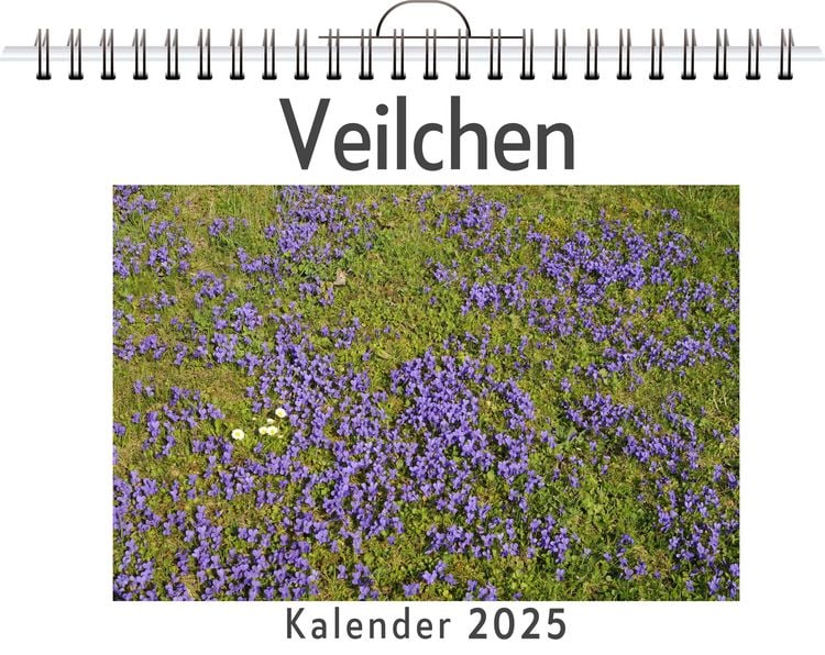 Produktbild: Veilchen