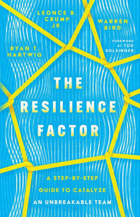Produktbild: The Resilience Factor