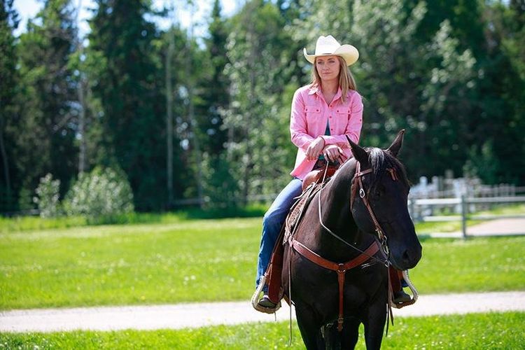 Produktbild: Heartland - Paradies f&uuml;r Pferde - Staffel 8.1: Episode 1-9 [3 DVDs]