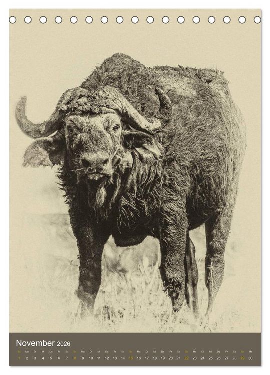 Produktbild: Afrikas Tierwelt - Sepia-Art (Tischkalender 2026 DIN A5 hoch), CALVENDO Monatskalender