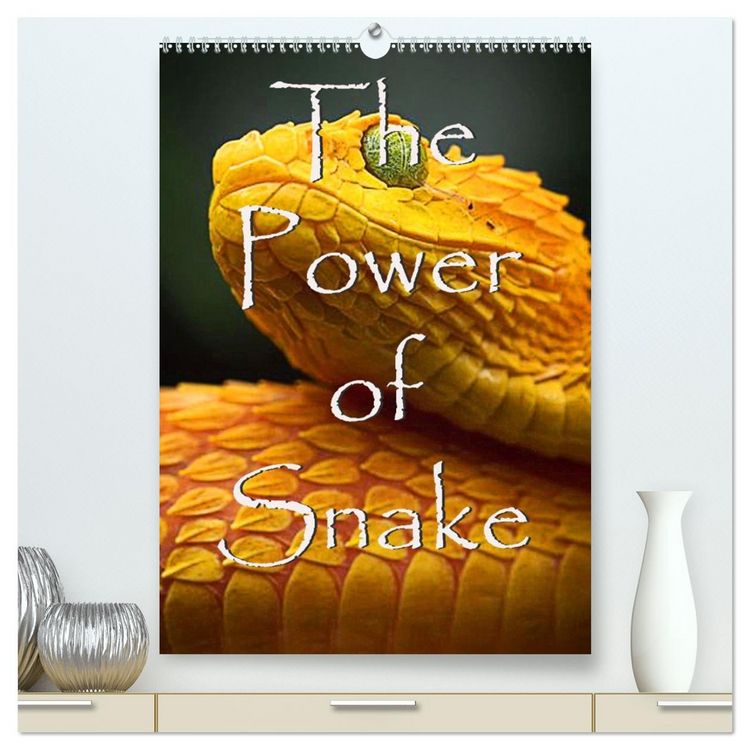 Produktbild: The Power Of Snake (hochwertiger Premium Wandkalender 2026 DIN A2 hoch), Kunstdruck in Hochglanz