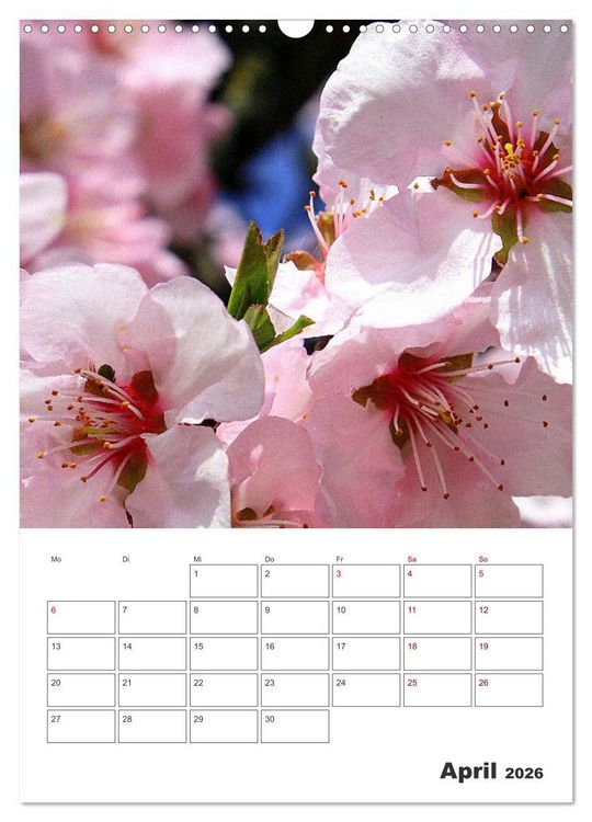 Produktbild: BL&Uuml;TENZAUBER (Wandkalender 2026 DIN A3 hoch), CALVENDO Monatskalender