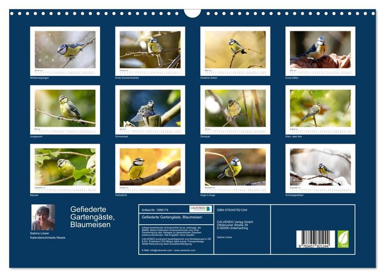 Produktbild: Gefiederte Garteng&auml;ste, Blaumeisen (Wandkalender 2026 DIN A3 quer), CALVENDO Monatskalender