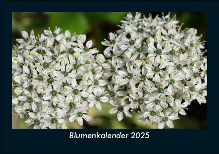 Produktbild: Blumenkalender 2025 Fotokalender DIN A5