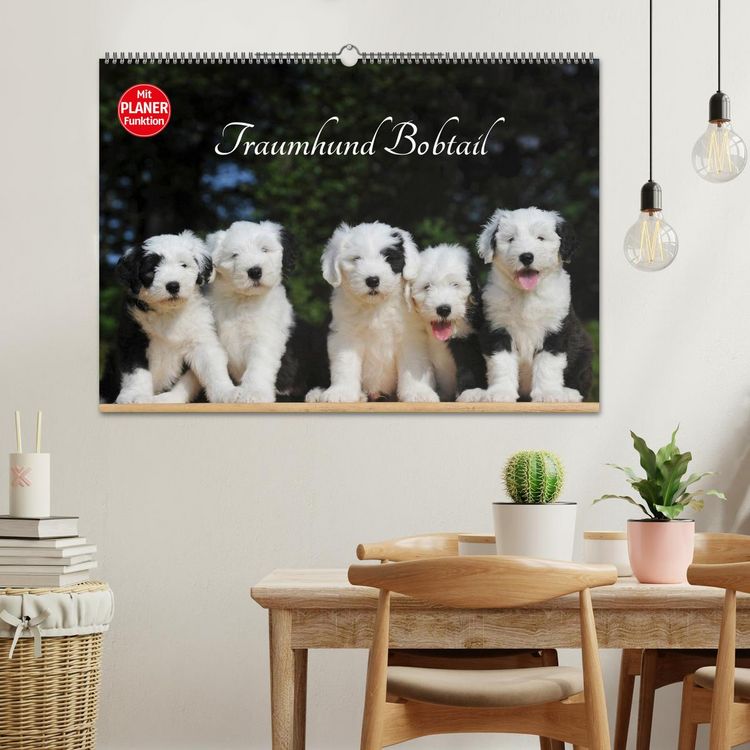 Produktbild: Traumhund Bobtail (Wandkalender 2026 DIN A2 quer), CALVENDO Monatskalender