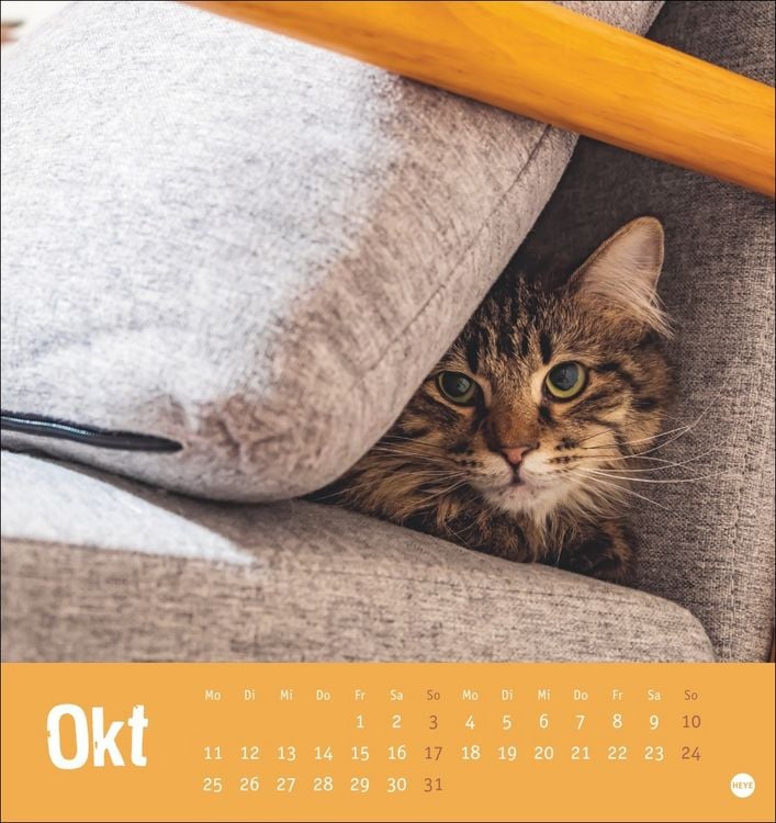 Produktbild: Tierisch entspannte Katzen Postkartenkalender 2027
