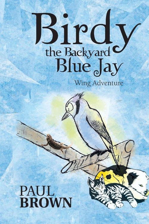 Produktbild: Birdy the Backyard Blue Jay