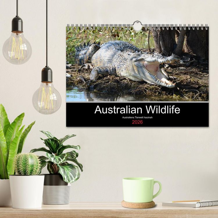 Produktbild: Australian Wildlife (Wandkalender 2026 DIN A4 quer), CALVENDO Monatskalender