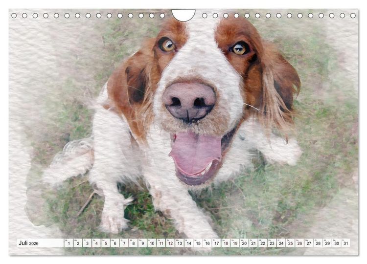 Produktbild: Niedliche Hunde - Digitale Aquarelle (Wandkalender 2026 DIN A4 quer), CALVENDO Monatskalender
