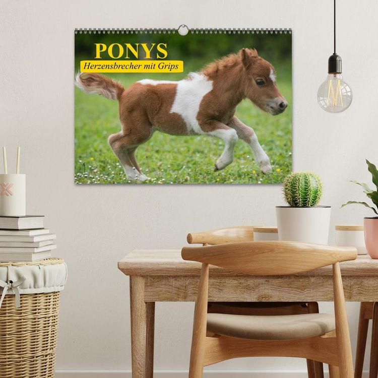 Produktbild: Ponys. Herzensbrecher mit Grips (Wandkalender 2026 DIN A3 quer), CALVENDO Monatskalender
