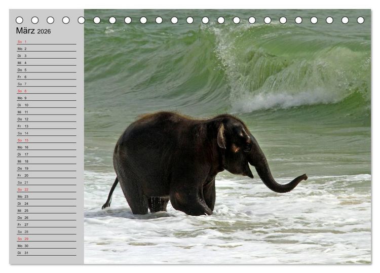 Produktbild: Elefanten. Spa&szlig; am Wasser (Tischkalender 2026 DIN A5 quer), CALVENDO Monatskalender