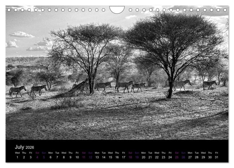 Produktbild: East Africa - Tanzania and Kenya / UK-Version (Wall Calendar 2026 DIN A4 landscape), CALVENDO 12 Month Wall Calendar