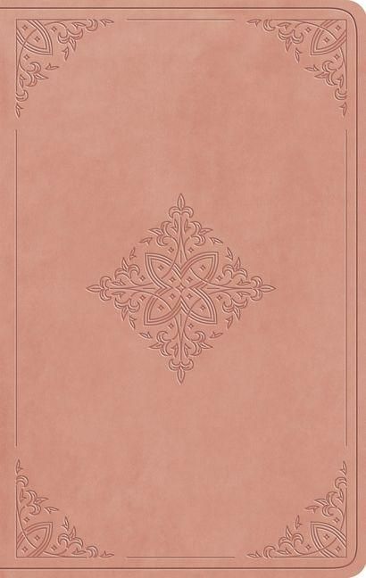 Produktbild: ESV Large Print Value Thinline Bible