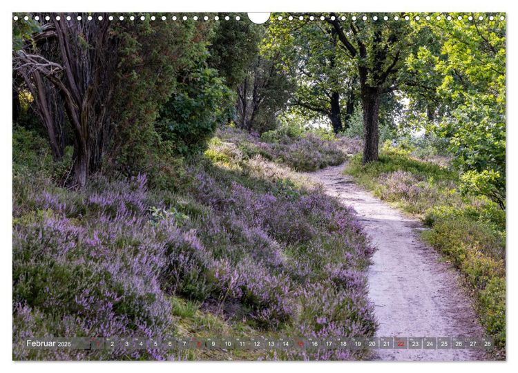 Produktbild: Die L&uuml;neburger Heide - In voller Bl&uuml;te (Wandkalender 2026 DIN A3 quer), CALVENDO Monatskalender