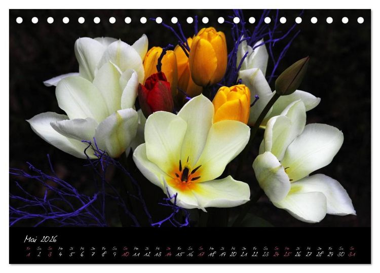 Produktbild: Soul-Jazz - Visuelle Musik der Blumen (Tischkalender 2026 DIN A5 quer), CALVENDO Monatskalender