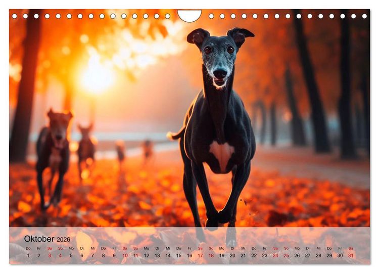 Produktbild: Black is beautiful (Wandkalender 2026 DIN A4 quer), CALVENDO Monatskalender