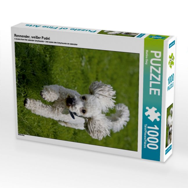 Produktbild: CALVENDO Puzzle Rennender, wei&szlig;er Pudel | 1000 Teile Lege-Gr&ouml;&szlig;e 64x48cm Foto-Puzzle f&uuml;r gl&uuml;ckliche Stunden