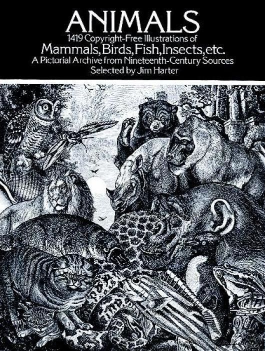 Produktbild: Animals