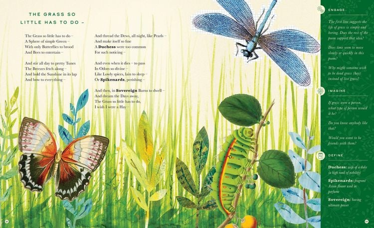 Produktbild: The Illustrated Emily Dickinson