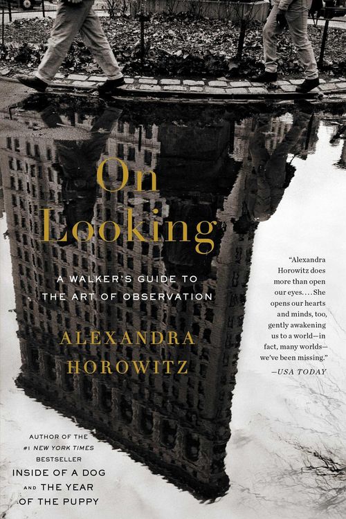 Produktbild: On Looking