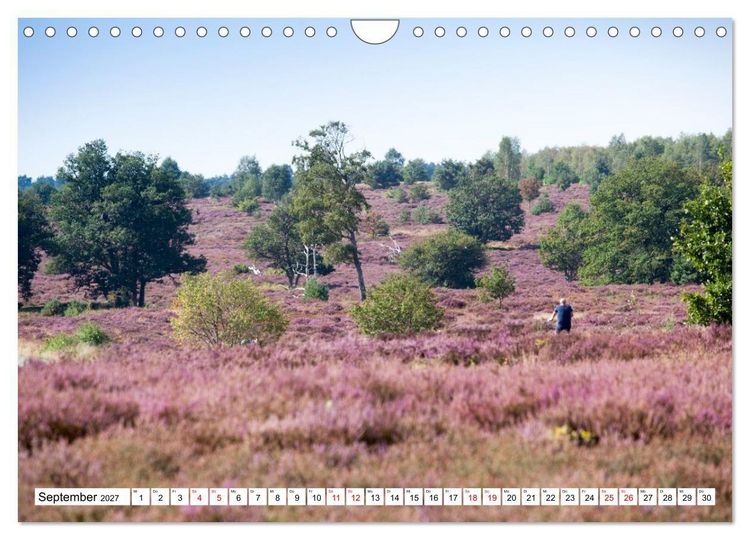 Produktbild: Radland Deutschland - L&uuml;neburger Heide (Wandkalender 2027 DIN A4 quer), CALVENDO Monatskalender
