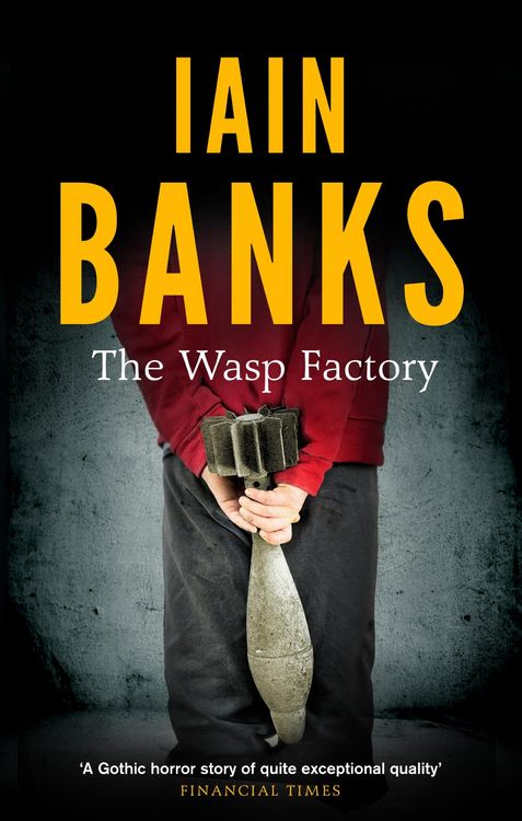 Produktbild: The Wasp Factory