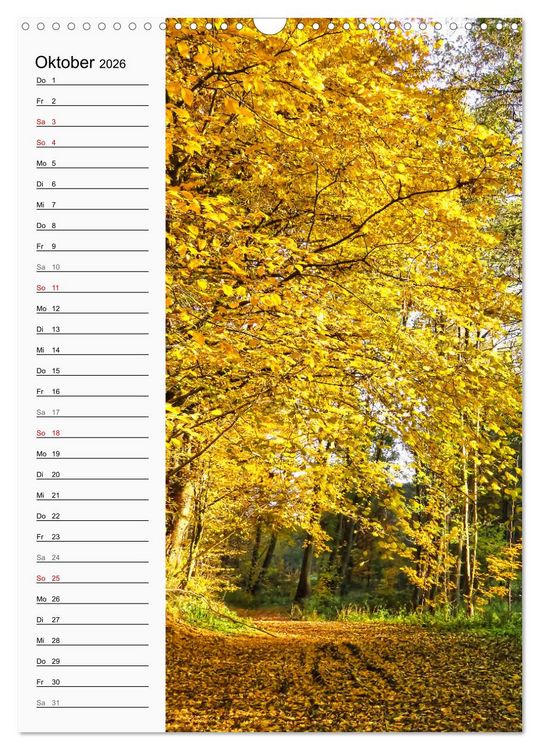 Produktbild: Nieste, Kleinod am Kaufunger Wald (Wandkalender 2026 DIN A3 hoch), CALVENDO Monatskalender