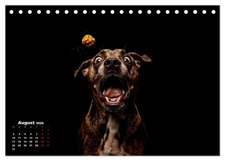 Produktbild: Leckerchen! (Tischkalender 2026 DIN A5 quer), CALVENDO Monatskalender
