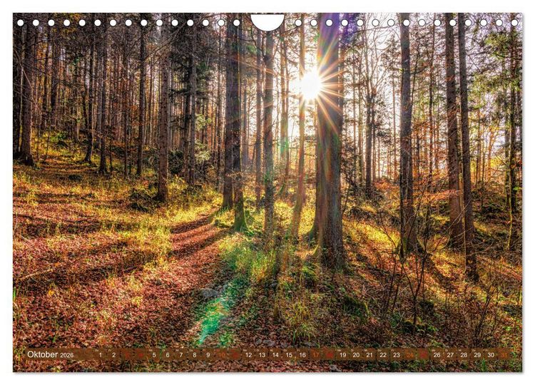 Produktbild: Idyllische Landschaften am Tegernsee (Wandkalender 2026 DIN A4 quer), CALVENDO Monatskalender