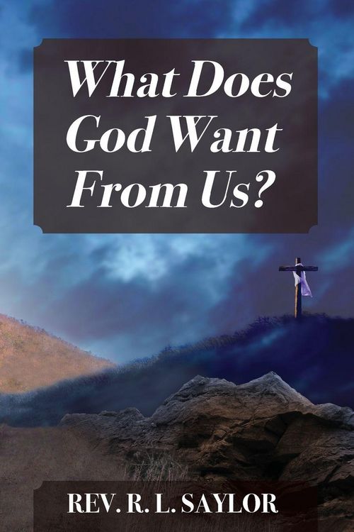 Produktbild: What Does God Want From Us?