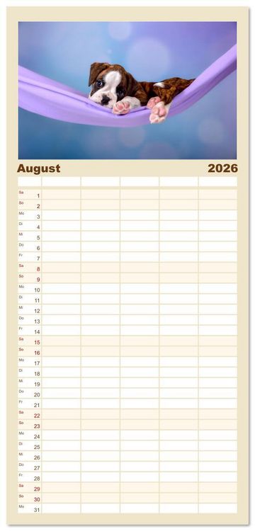 Produktbild: Familienplaner 2026 - Boxer Welpen einfach zuckers&uuml;&szlig; mit 5 Spalten (Wandkalender, 21 x 45 cm) CALVENDO
