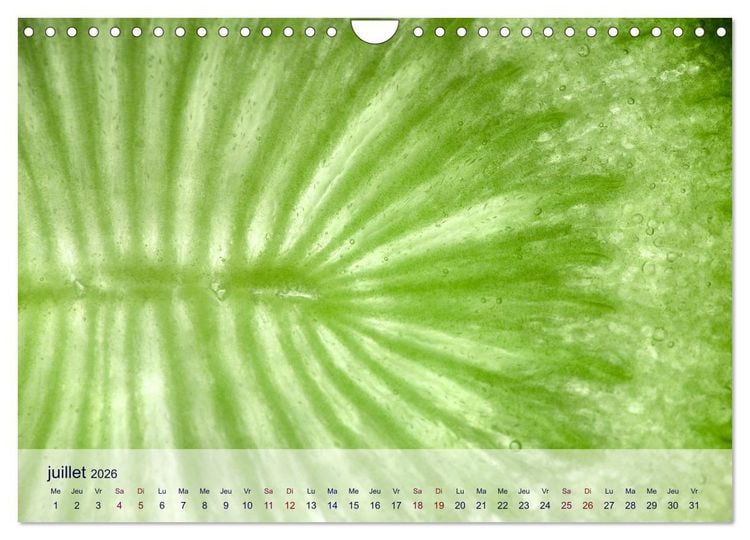 Produktbild: C&oelig;ur de fruits c&oelig;ur de l&eacute;gumes (Calendrier mural 2026 DIN A4 vertical), CALVENDO calendrier mensuel