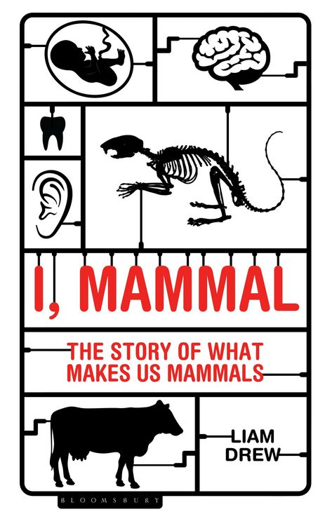 Produktbild: I, Mammal
