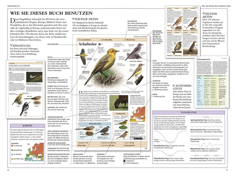 Produktbild: V&ouml;gel in Europa
