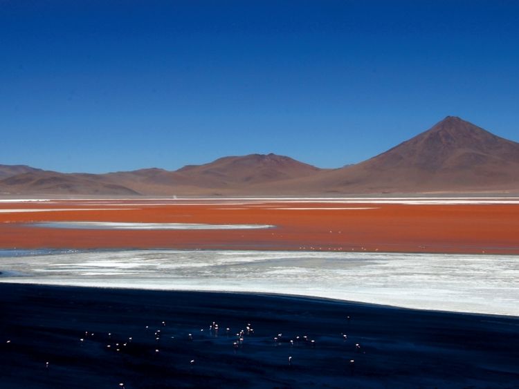 Produktbild: CALVENDO Puzzle Laguna Colorado, Sur L&iacute;pez, Bolivien | 1000 Teile Lege-Gr&ouml;&szlig;e 64 &times; 48 cm Foto-Puzzle f&uuml;r gl&uuml;ckliche Stunden