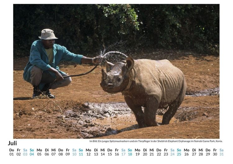 Produktbild: Das letzte Spitzmaulnashorn