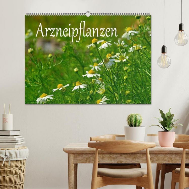 Produktbild: Arzneipflanzen (Wandkalender 2026 DIN A2 quer), CALVENDO Monatskalender