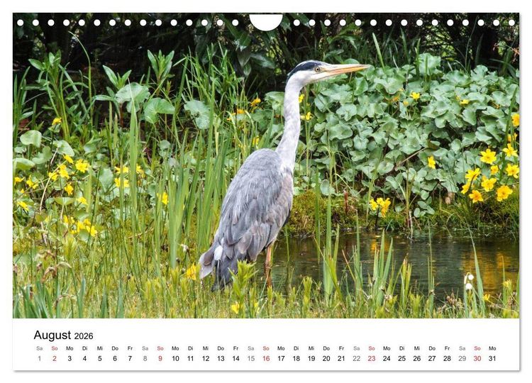 Produktbild: Paradies Naturgarten (Wandkalender 2026 DIN A4 quer), CALVENDO Monatskalender