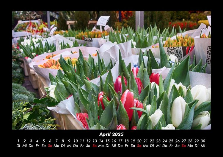 Produktbild: Blumenkalender 2025 Fotokalender DIN A3