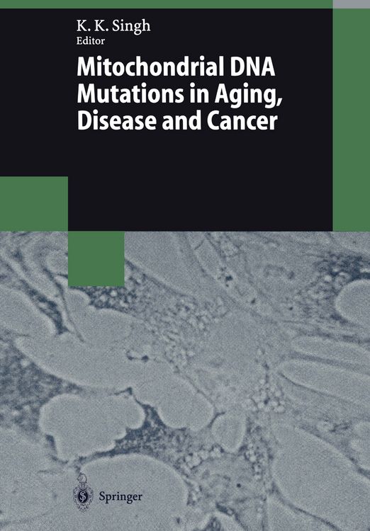 Produktbild: Mitochondrial DNA Mutations in Aging, Disease and Cancer