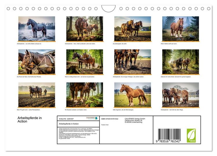 Produktbild: Arbeitspferde in Action (Wandkalender 2027 DIN A4 quer), CALVENDO Monatskalender