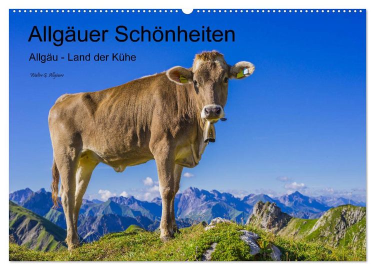 Produktbild: Allg&auml;uer Sch&ouml;nheiten Allg&auml;u - Land der K&uuml;he (Wandkalender 2026 DIN A2 quer), CALVENDO Monatskalender