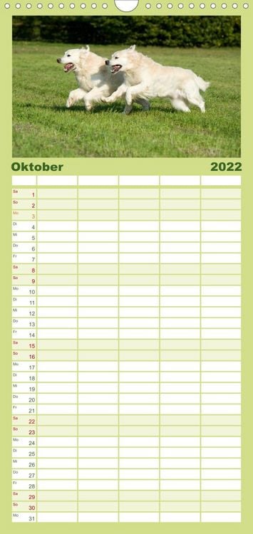 Produktbild: Familienplaner Golden Retriever (Wandkalender 2022 , 21 cm x 45 cm, hoch)