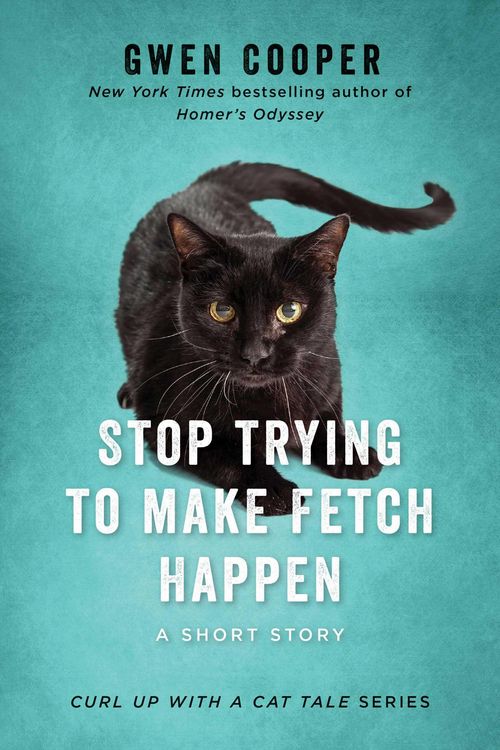 Produktbild: Stop Trying to Make Fetch Happen